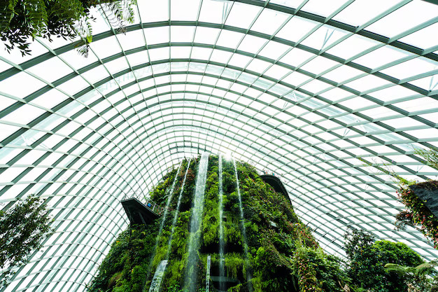 Glass Canopy1