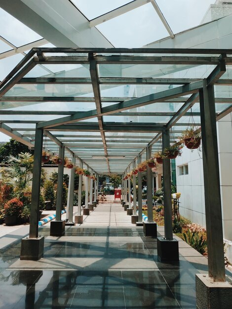 Glass Canopy3