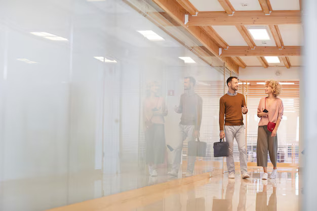 Frameless Office Partition1