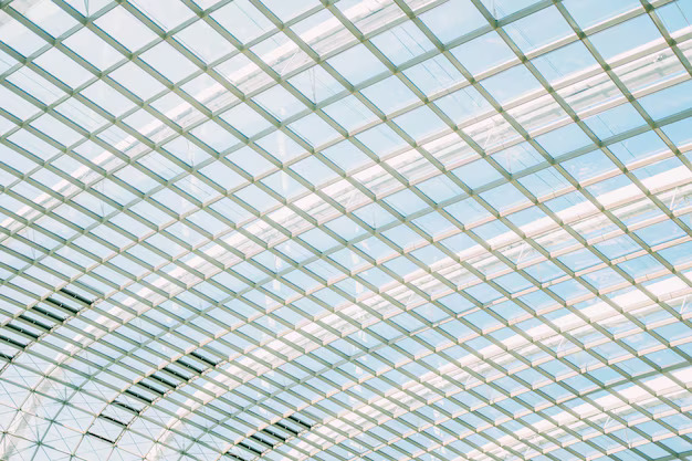 Skylights Windows